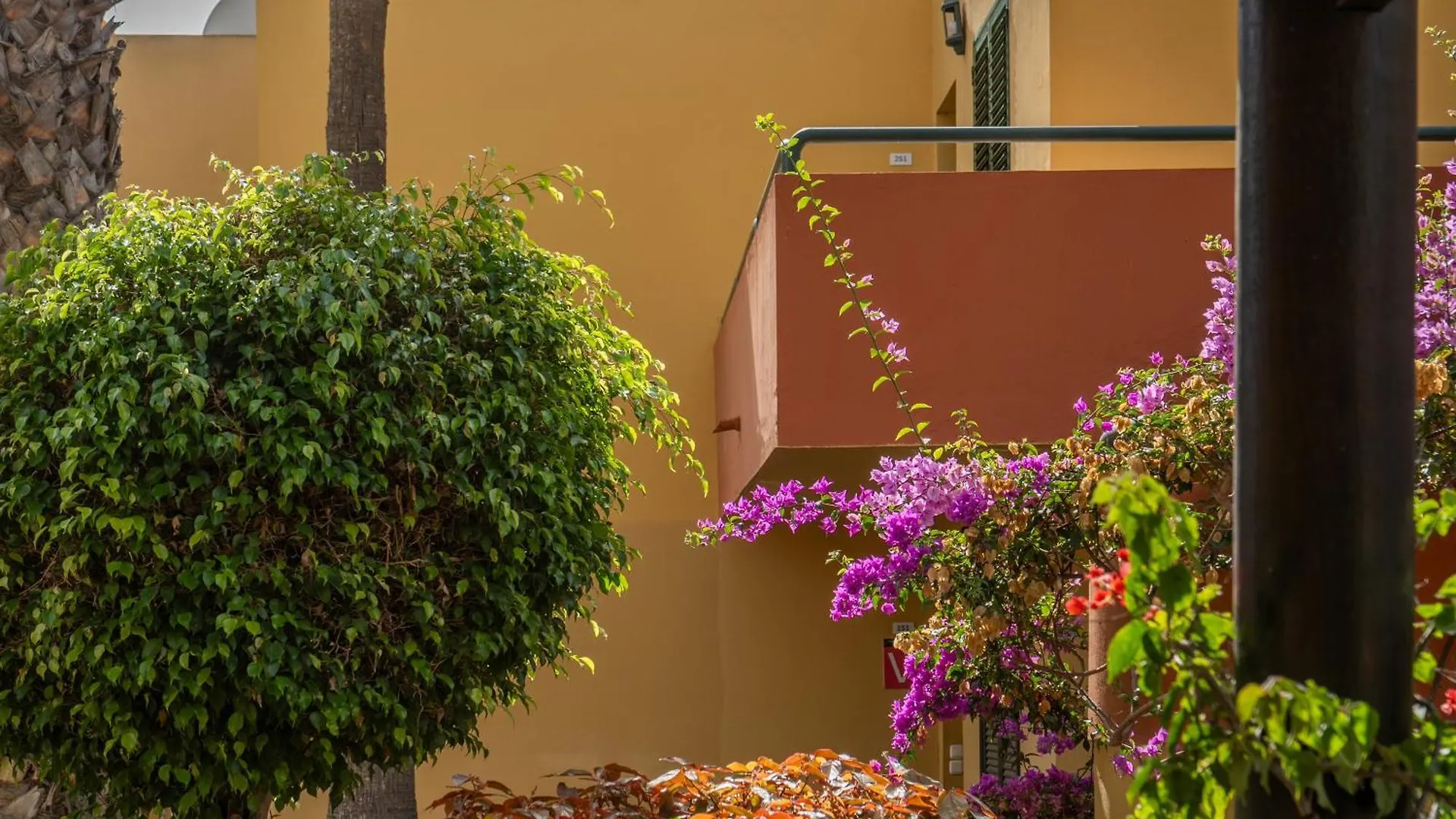 Casa Oceano Atlantik Garden Apartment Corralejo