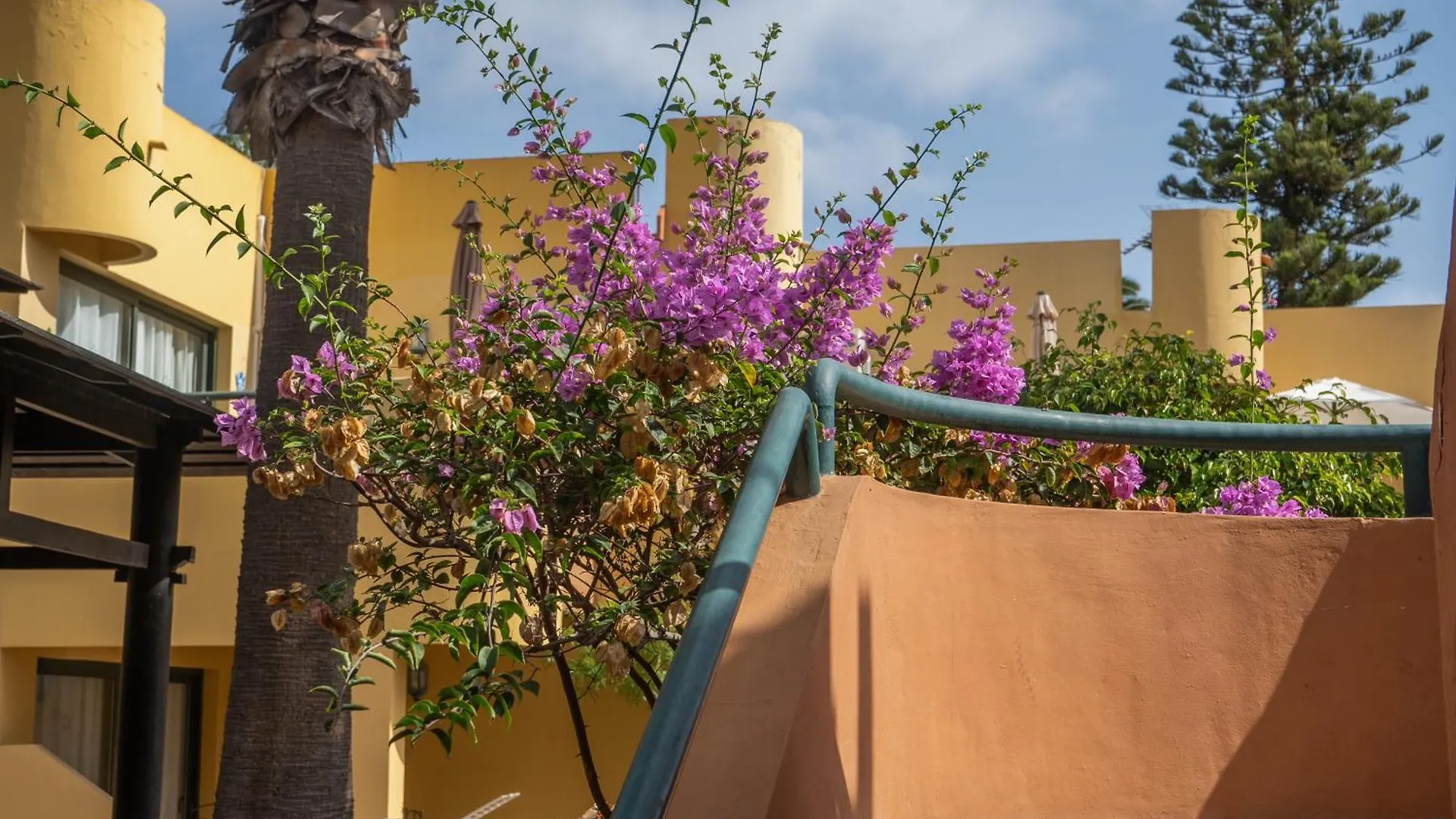 Casa Oceano Atlantik Garden Apartment Corralejo 0*,